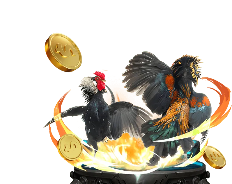 Hình ảnh phân tích kèo đá gà và chiến lược cá cược hiệu quả